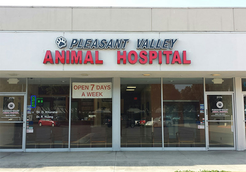 Open animal clinics near 2024 me